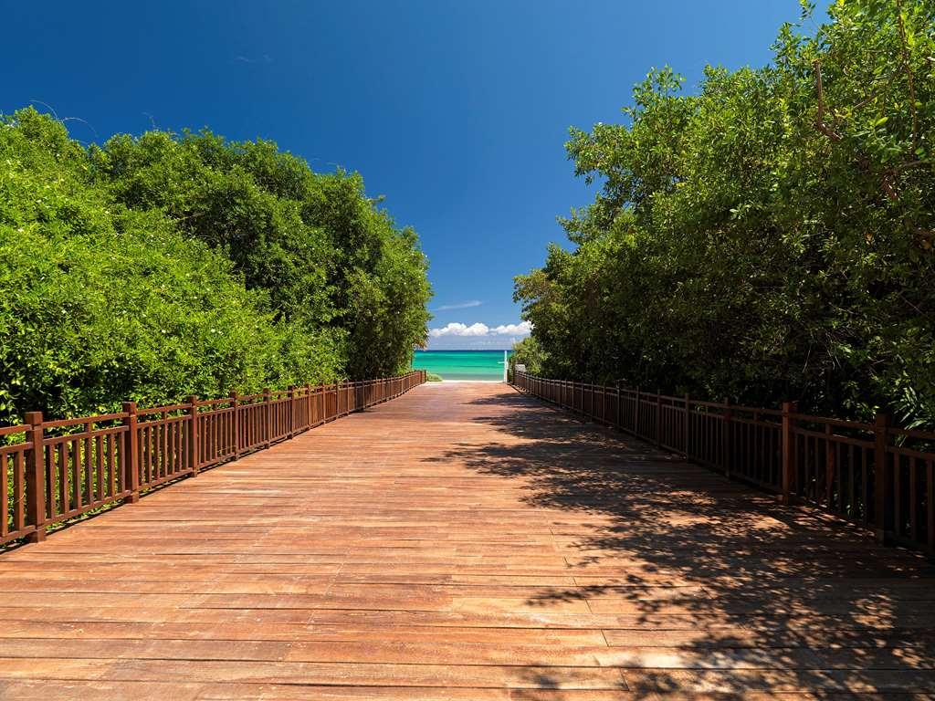The Reserve Paradisus Playa Del Carmen (Adults Only) 自然 照片