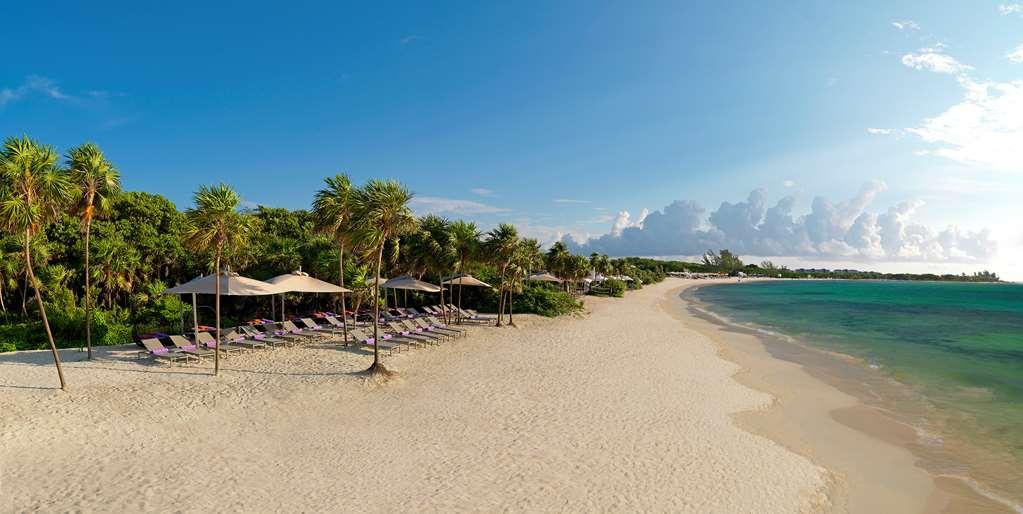 The Reserve Paradisus Playa Del Carmen (Adults Only) 自然 照片